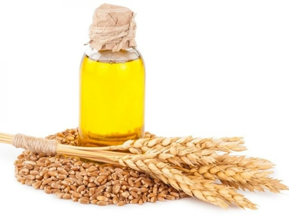 زيت القمح